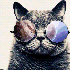 Avatar for trasted