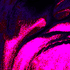 Avatar for sawsily