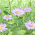 Avatar für teawhisk