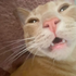 SlantyEnchanty için avatar
