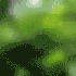 Avatar for -dryx-