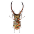 Avatar for GL00MY_B3AR