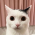 Avatar for SnaggedSpade4