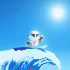 Avatar for SunWaterDuk