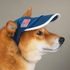 Avatar for bacondownpour
