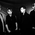 Awatar dla The Black Dove Experiment