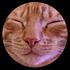 Avatar for laurw
