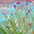 Avatar di palepink