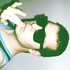 Avatar for sakuraboysbruno