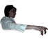 Avatar di Brainslip