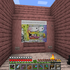 Avatar for Melonwater21