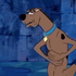 Avatar de THEjeffbezos