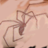 Avatar for fwao