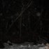 Avatar for Dark Fog Eruption