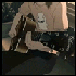 Avatar for Bananawani