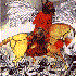 Avatar for The Franciscan Hobbies