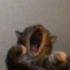 Avatar for VictorCR04