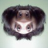 Avatar for TheOtherPedro
