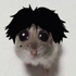 Avatar for huangseoks