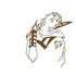 Avatar for berev