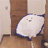 Avatar di white_crow18