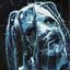Avatar für korn9494