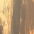Avatar for rareuser