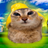 Avatar for Paul123tsa