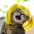 Avatar for maryfreitas_