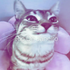 Avatar for Pugslyyyy