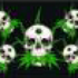 Avatar für metal_sis