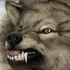 Avatar for dosasz