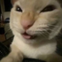 Avatar for EAV233