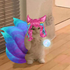 Avatar for annonfx