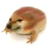 Avatar for Ferment4868