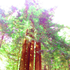 Avatar for dilegge