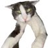 Avatar de dematia_13