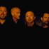 Avatar for Rise Against