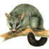Avatar for oposik