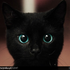 Avatar for Silent71