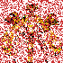 Avatar for broom1234