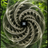 Avatar for TARDIS_fm