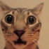 Avatar for caitevermore