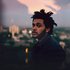 Avatar for The Weeknd