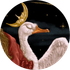 Avatar for classicalam