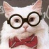 Avatar for Smell_of_napalm