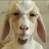 Avatar for athekrea