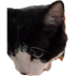 Avatar for Applepie1243