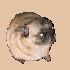 Avatar for math_fx
