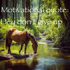 Avatar de HorseSaysNeigh